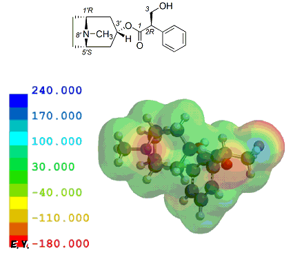 アトロピン硫酸塩 遊離塩基 Atropine 医薬品分子モデリング勉強会